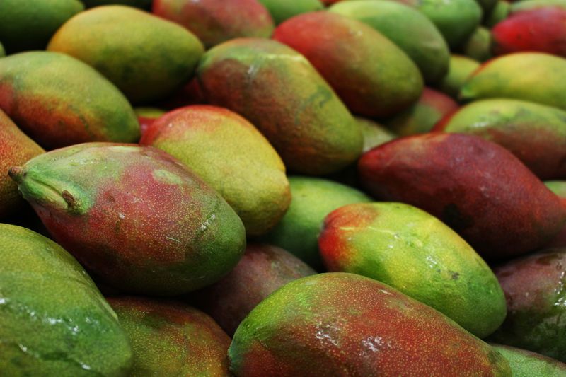 Mango avocado salad with citrus dressing